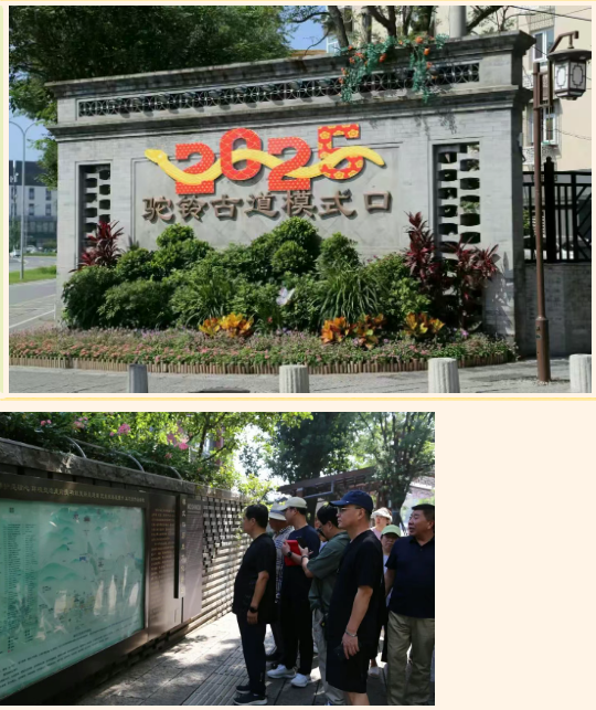 1754613211630.png